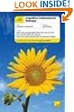 Teach Yourself Cognitive Behavioural Therapy (Teach Yourself General)