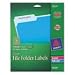 Self-Adhesive Filing Labels, 1/3 Cut, 2/3 x 3-7/16, Clear, 450/Pack