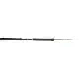 B&M BUCK'S GRAPHIT JG POLE 10'