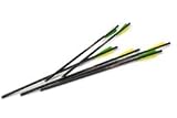 6 - Pk. Excalibur® GT Carbon 20