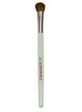 Skin Alison Raffaele Basic Eyeshadow Brush