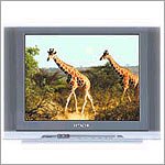 Hitachi C21-RF39S 21" Full Multisystem TV Television 110/220v
