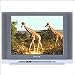 Hitachi C21-RF39S 21" Full Multisystem TV Television 110/220v