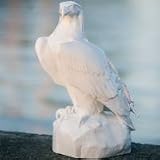 Royal Copenhagen Golden Eagle 20 in. - White/2590123