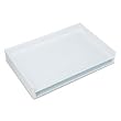 Safco Giant Stack Flat Files Plastic FileTray in White for 24"x 36" Documents
