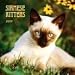Siamese Kittens 2009 Mini Wall Calendar