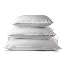 Euro Star White Goose Down and Feather Standard Size Pillow