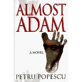 Almost Adam