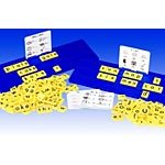 Educational Insights Phonics Clrm Set-Teaching Tiles