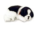 Perfect Petzzz PP91-01BV6 Border Collie Puppy
