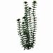 Anacharis Plastic Aquarium Plant - 20