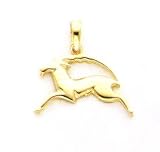 14kt gold Capricorn zodiak charm