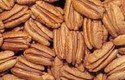 Mammoth Pecan Halves