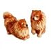 pomeranian5  - Pomeranian Salt Pepper Set