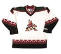 Phoenix Coyotes Closeout NHL Replica Jersey
