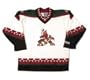 Phoenix Coyotes Closeout NHL Replica Jersey (Adult Large)