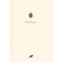 Graphique de France Ladybug Boxed Thank You Notes, 4.25 x 5.5 Inches, Cream (L809CB)