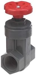 Gate Valve, 3/4 In, FNPT, PVC, 150 psi