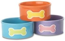 Teeny Tiny Bones Water Bowl Colors Vary