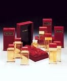 Dolce & Gabbana Collection for Her