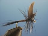 Black Gnat