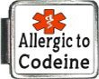 Allergic To Codeine Medical Alert Italian Charm Bracelet Link