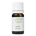 ���B�E�A���[���@�G�b�Z���V�����I�C���E�t�@�[5ml