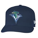 Vermont Lake Monsters New Era 2008 Onfield 59FIFTY
