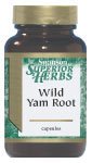 Wild Yam Root 405 Mg 100 Caps
