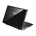 Samsung NC20-21GBK 12.1-Inch Black Netbook - 6 Hour Battery