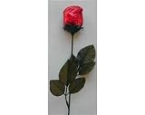 Milk Chocolate Roses