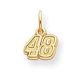 14k NASCAR Jimmie Johnson Number 48 Charm