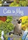 Cats in May
