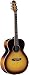 Takamine - Natural 6-string Acoustic/Electric Guitar