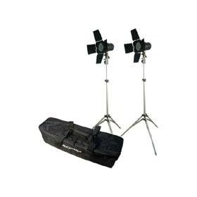 Adorama Budget Studio Monolight Flash Kit #2, with 2 100 watt Second Budget Flashes, Light Stands, Barndoors, Filters, Softex Carry Case.