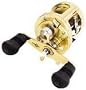 Calcutta 300TE Baitcasting Reel
