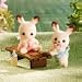Hopscotch Rabbit Twins (2008)