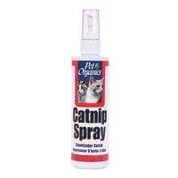 Childrens Toyshop  Pet Supplies : Pet Organics Catnip Spray
