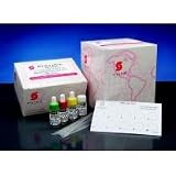 Stanbio RPR Quicktest, 100/Bx