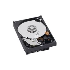 WD Caviar Green 1TB WD10EACS SATA II
