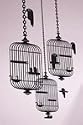 Bird Cages Vinyl Wall Decals Black