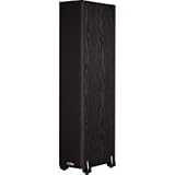 Best  Polk Audio TSi300 Floorstanding Speaker (Single, Black) On Sale