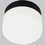 Progress Ceiling Mounted Ceiling Hard-Nox Black