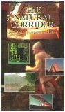 history of transportation