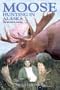 Moose Hunting In Alaska: The Secrets To Success.