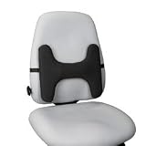 Kensington Lumbar Back Rest (K62823US)