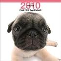Pug 2010 Wall Calendar