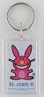 it's happy bunny 'Hi. Cram It.' Lucite Key Chain