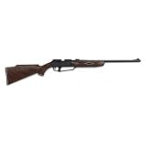 Daisy #880 Pneumat Pump Up Air Gun