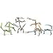  : Acrobot Dragons - Bronze